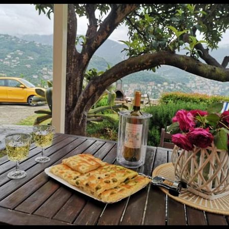 Villa Venino 莫内利亚 外观 照片