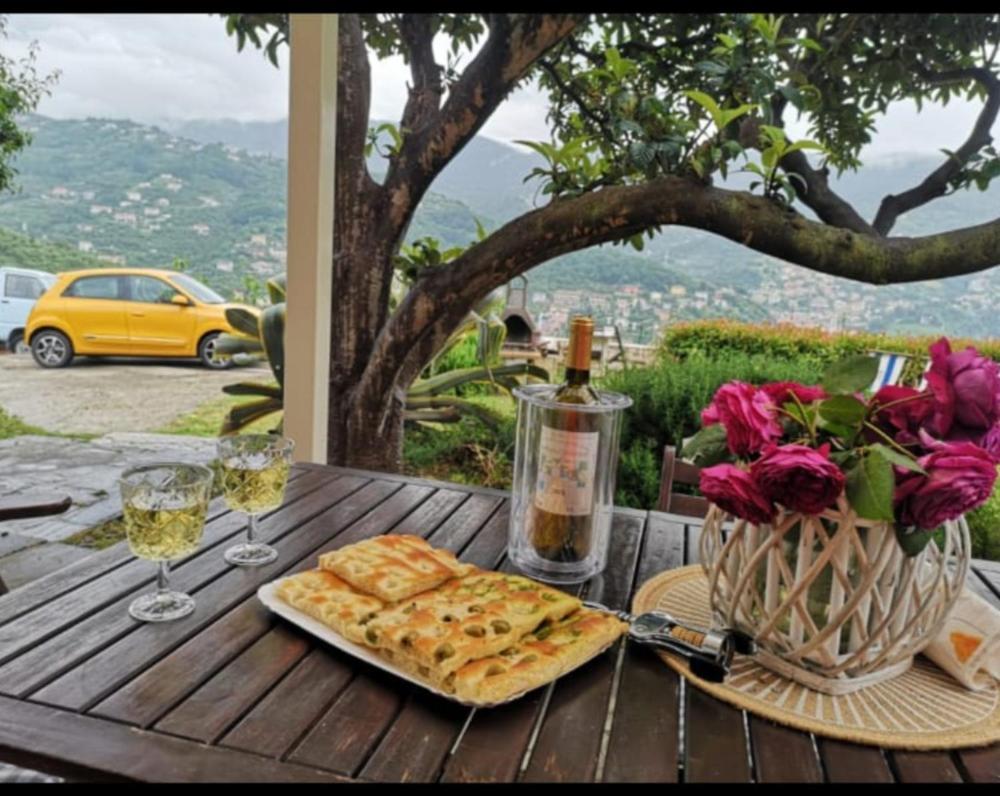Villa Venino 莫内利亚 外观 照片