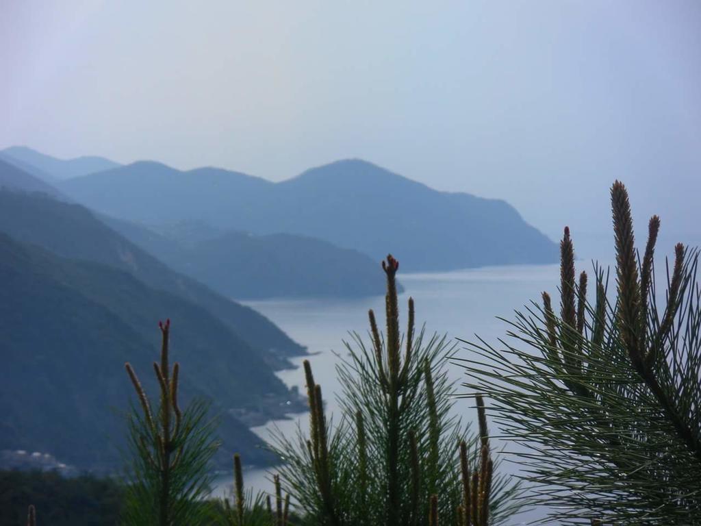 Villa Venino 莫内利亚 外观 照片