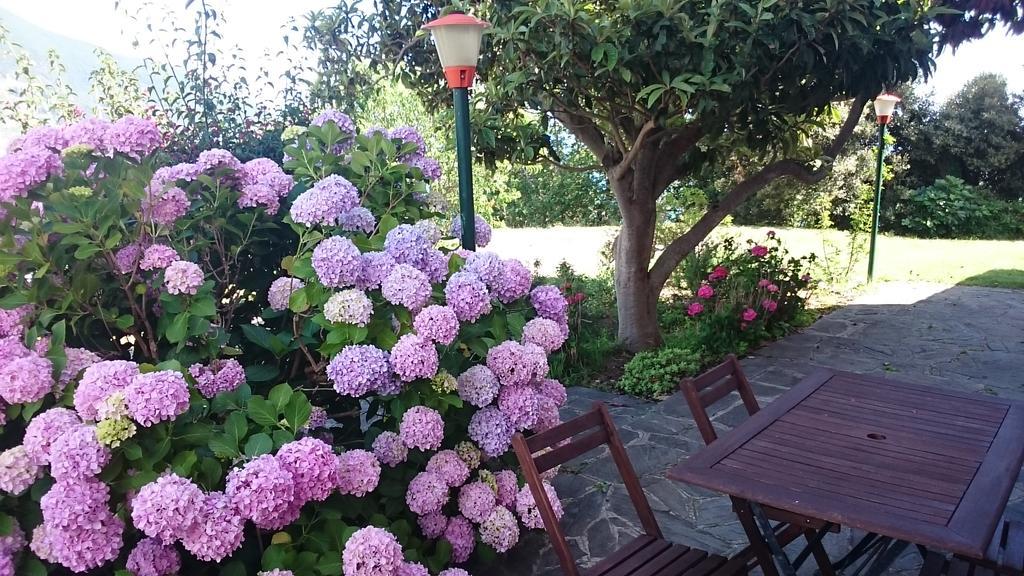 Villa Venino 莫内利亚 外观 照片