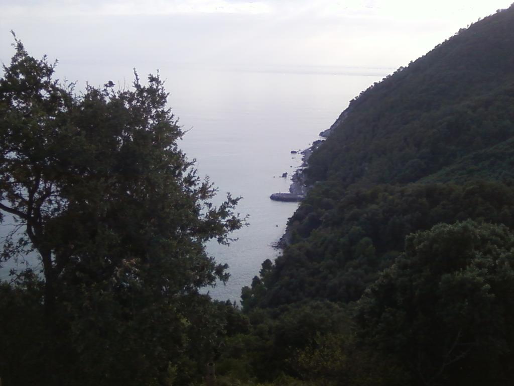 Villa Venino 莫内利亚 外观 照片