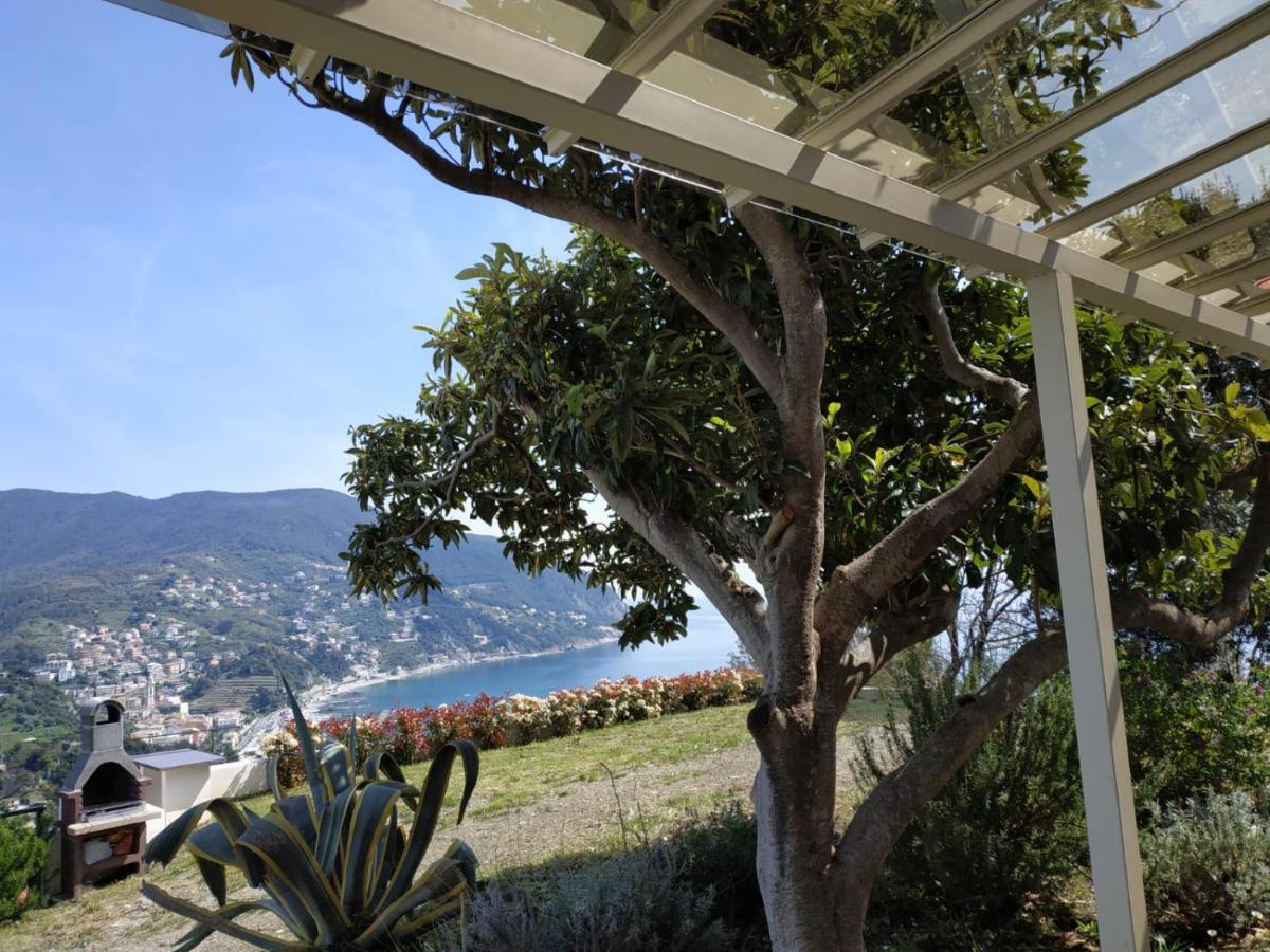 Villa Venino 莫内利亚 外观 照片